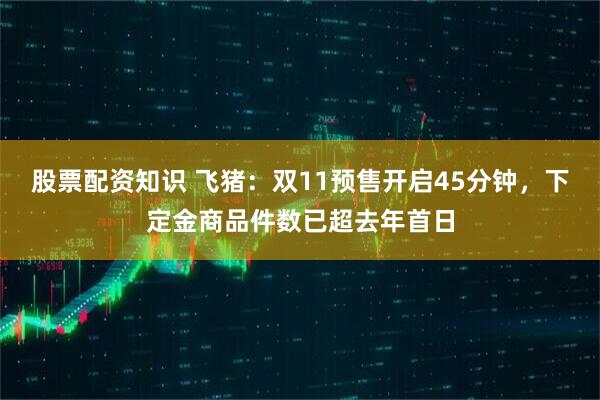 股票配资知识 飞猪：双11预售开启45分钟，下定金商品件数已超去年首日